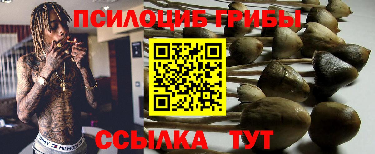 Псилоцибиновые грибы мухоморы  Вход с VPN  Каменск-Шахтинский  Псилоцибиновые грибы ЛСД 