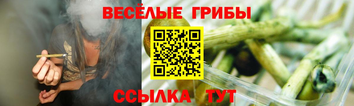Галлюциногенные грибы Psilocybe Каменск-Шахтинский